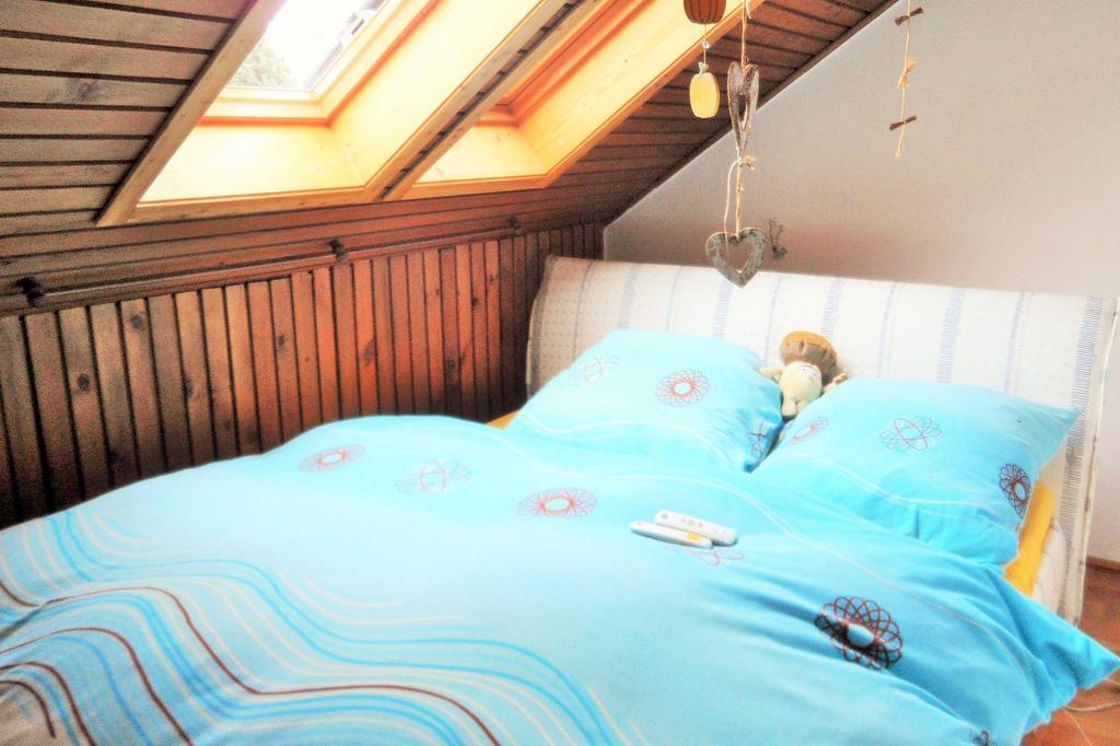 Ferienwohnung-Kuechler Oelsnitz  Oda fotoğraf